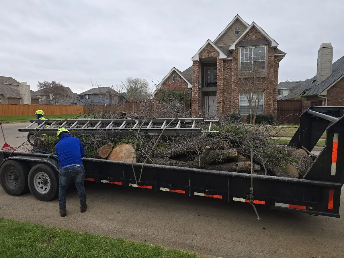 Expert Tree Pest Control with proper safety equipment in Newton